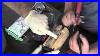 Fuel Gauge Reads Wrong After Fuel Pump Replaced