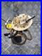 JAGUAR XJ 2014 Fuel Tank Sender Unit 306DT 9X239A309AD